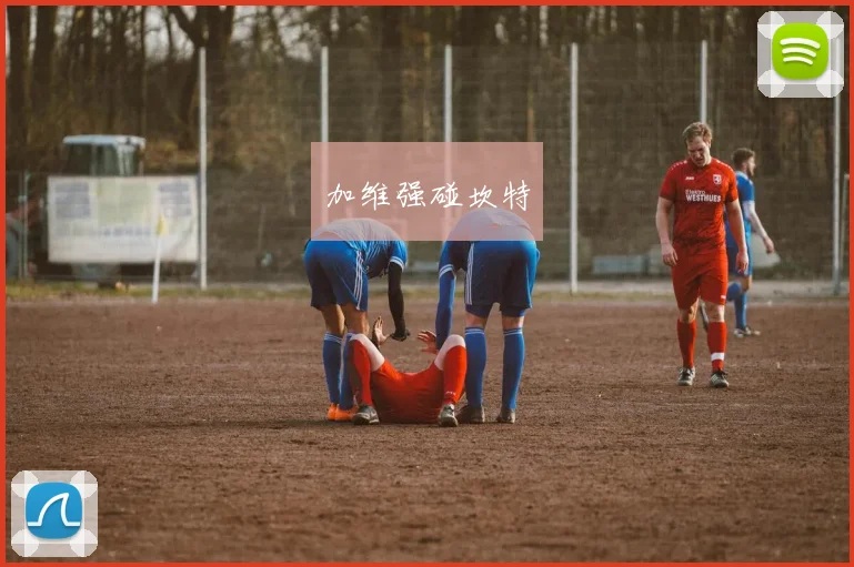 加维强碰坎特