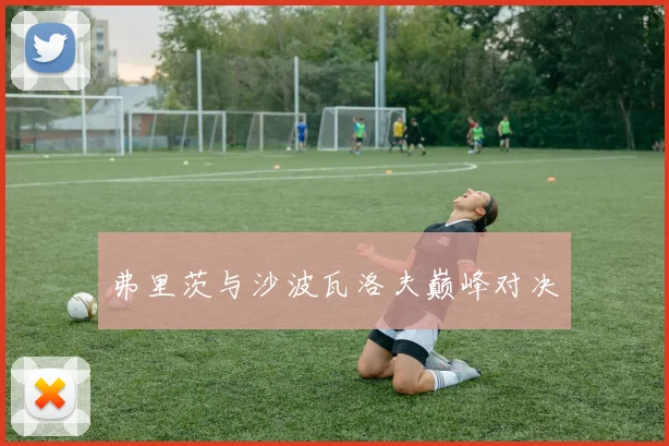 弗里茨与沙波瓦洛夫巅峰对决