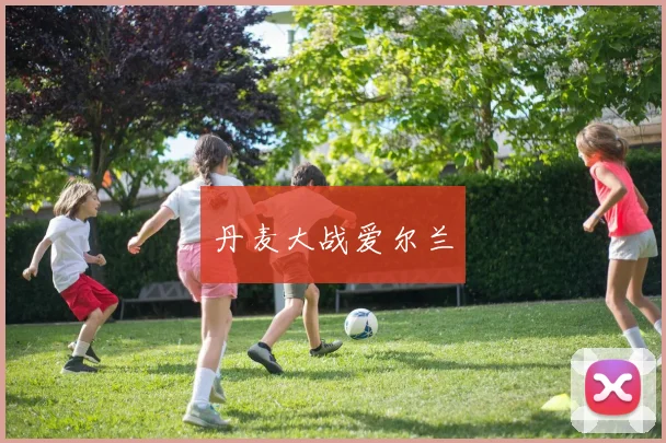 丹麦大战爱尔兰