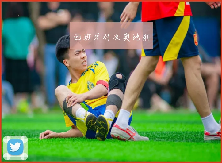 西班牙对决奥地利