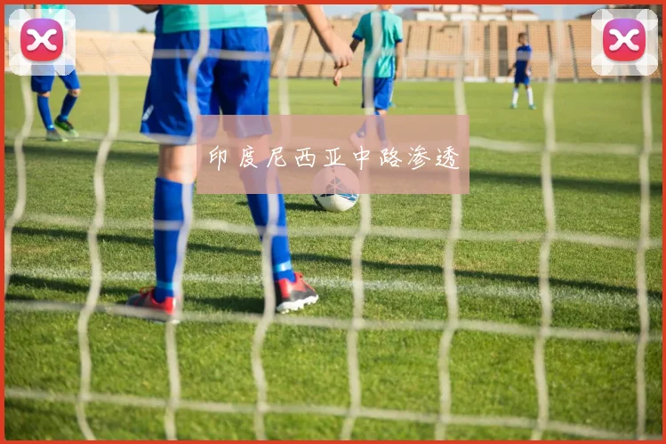 印度尼西亚中路渗透