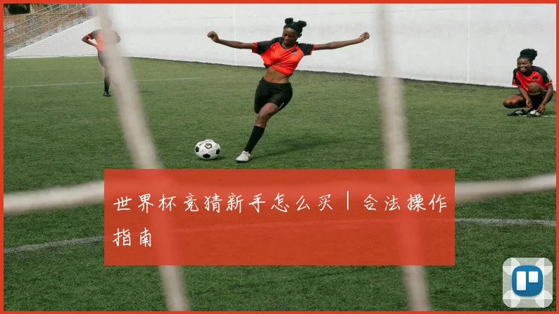世界杯竞猜新手怎么买｜合法操作指南