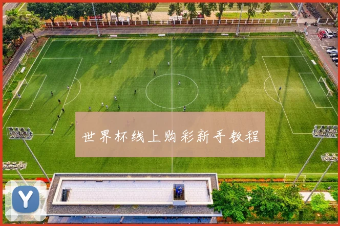 世界杯线上购彩新手教程