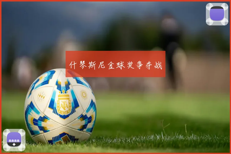 什琴斯尼金球奖争夺战